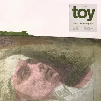 Songs of Consumption by TOY