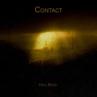 Contact by Hive Mind