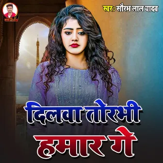 Dilva torbhi Hamar ge by Saurav Lal Yadav