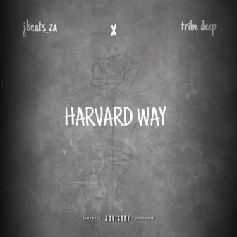 Harvard wayy by Jbeats_za