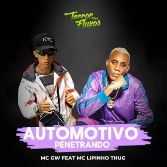 Automotivo Penetrando by DJ F