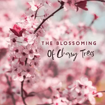 The Blossoming Of Cherry Trees by 