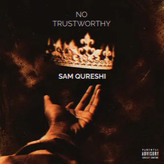 No Trustworthy by Sam Qureshi