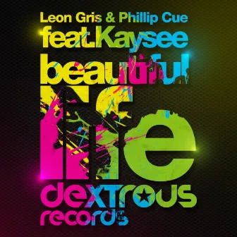 Beautiful Life by Leon Gris