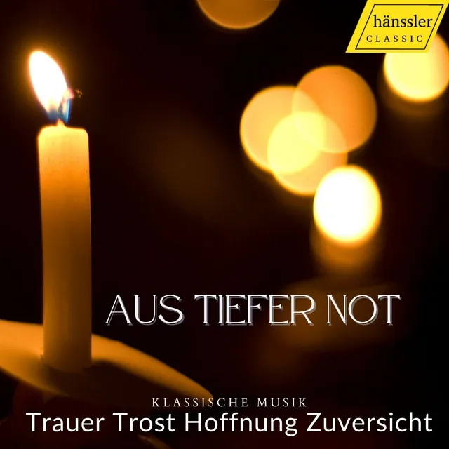 Erwünschtes Freudenlicht, BWV 184: Guter Hirte, Trost der Deinen (Chorus, Soprano, Bass)