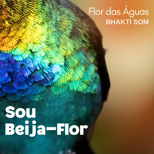 Sou Beija-Flor