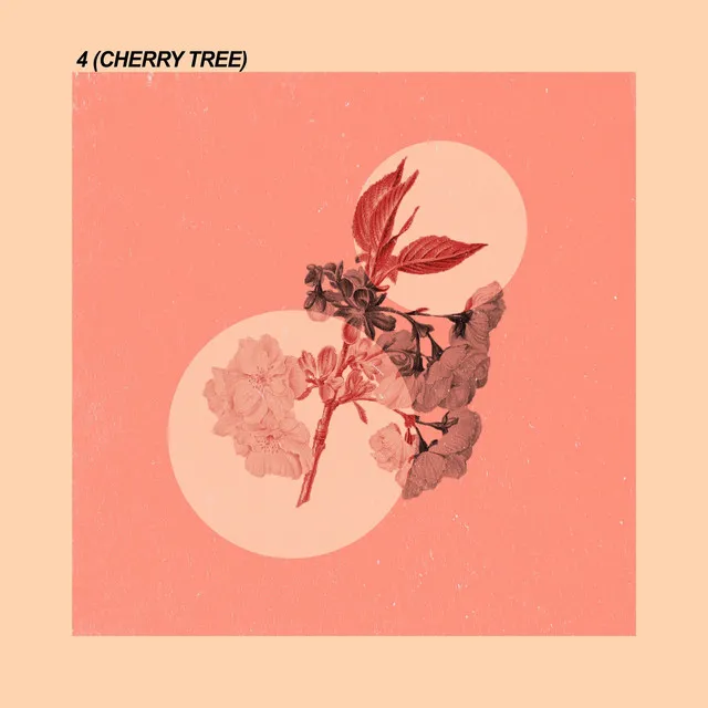 4 (Cherry Tree)