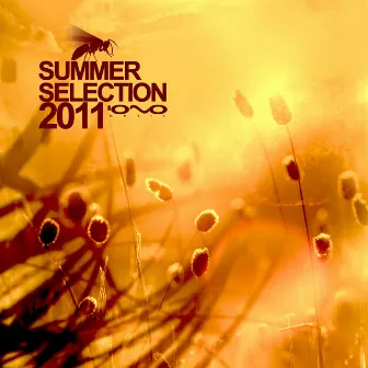 Summer Selection 2011 by Invisible Reality