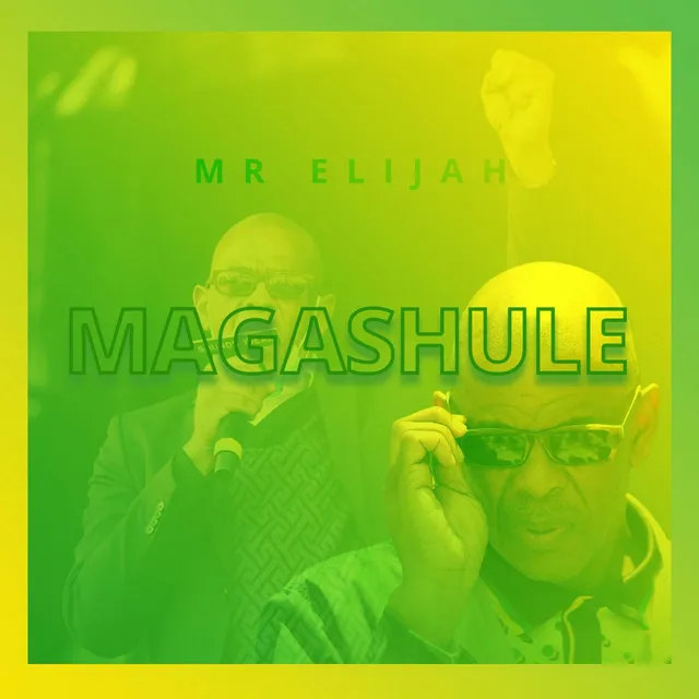 Magashule