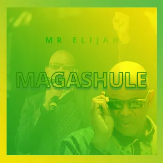 Magashule by Mr Elijah