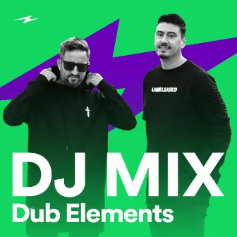 DJ Mix 2024 by Dub Elements