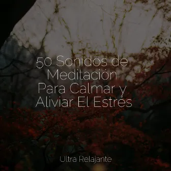 50 Sonidos de Meditación Para Calmar y Aliviar El Estrés by Música para Dormir Con Relajantes Sonidos de la Naturaleza