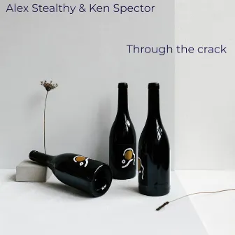 Through the Crack by Ken Spector