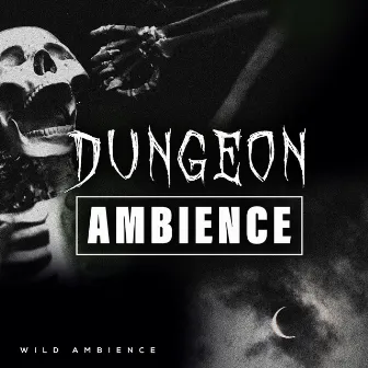 Dungeon Ambience by Wild Ambience