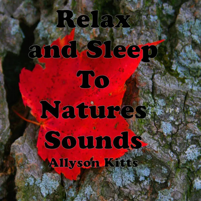 Relax and Sleep to Natures Sounds