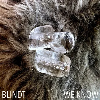 We Know by BLINDT