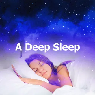 A Deep Sleep by REM Sleep Inducing