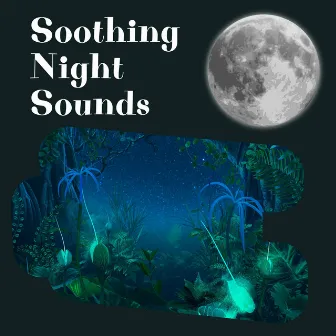 Soothing Night Sounds for Sleeping by Night Sounds