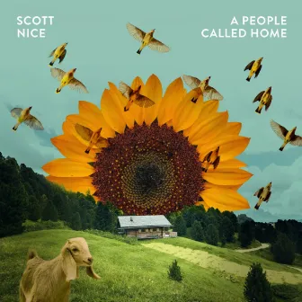 A People Called Home by Scott Nice