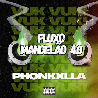 FLUXO MANDELÃO 4.0 by DJ MANDELINHO