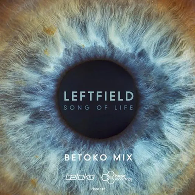 Song of Life - Betoko Remix