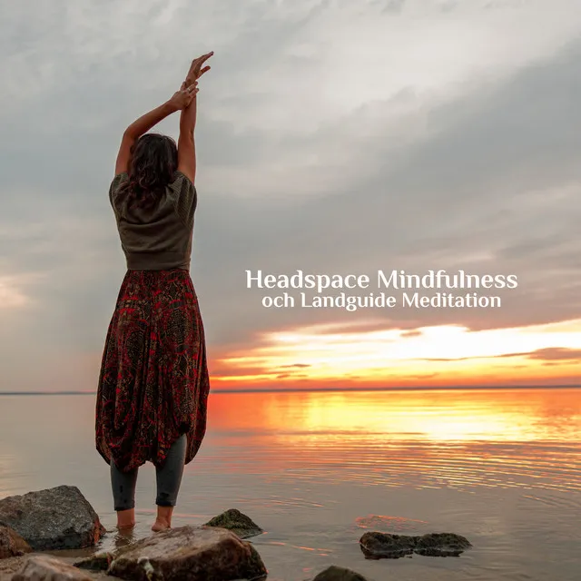 Headspace Mindfulness och Landguide Meditation (Flöjt Ljud)