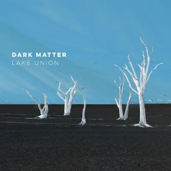 Dark Matter by Lake Union