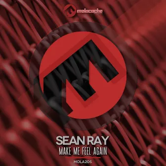 Make Me Feel Again by Sean Ray