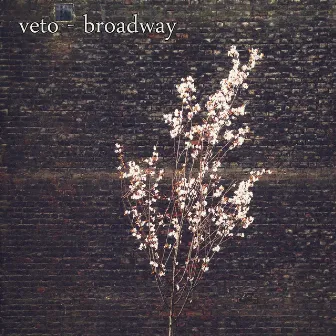 Broadway by VETO