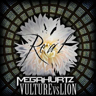 Real by Vulture VS Lion