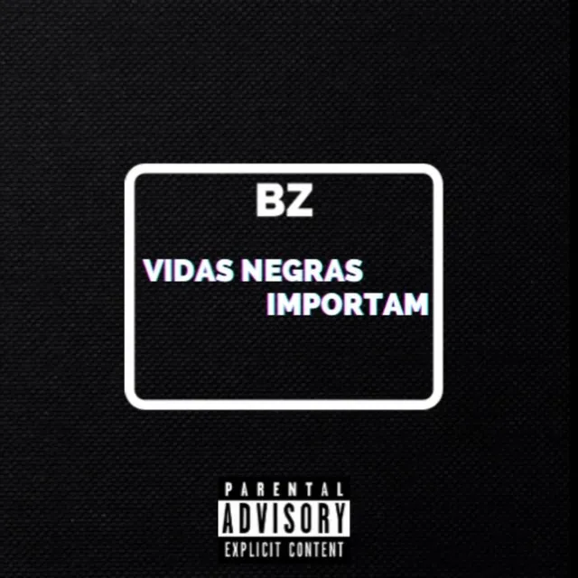 Vidas Negras Importam