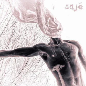 SAJÉ by Yuz Boy