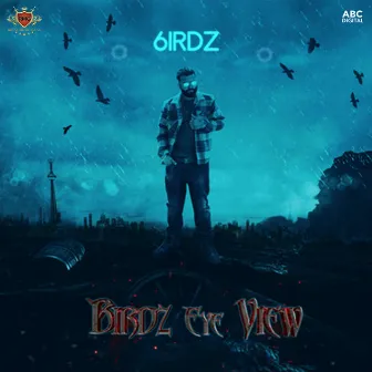 Birdz Eye View by 6irdz