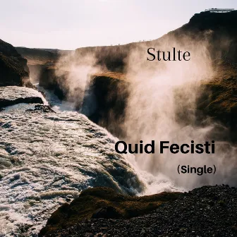 Stulte by Quid Fecisti