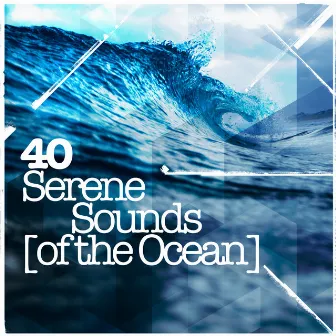 40Serene Sounds of the Ocean by Unknown Artist