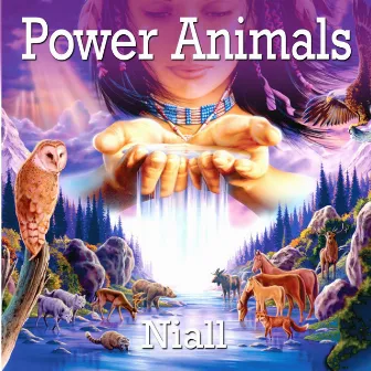 Power Animals by Niall