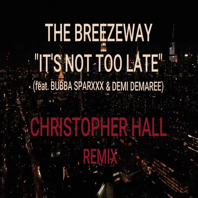 It's Not Too Late (Christopher Hall Remix)