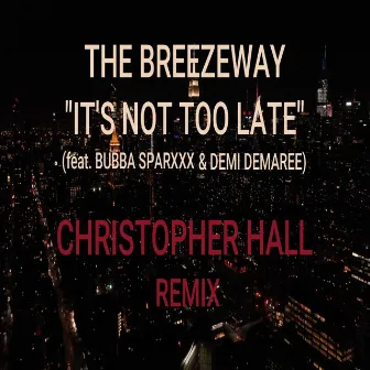 It's Not Too Late (Christopher Hall Remix) by Christopher Hall