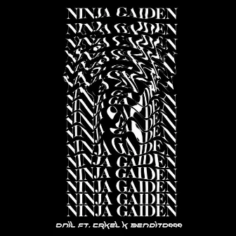 NINJA GAIDEN by Onil