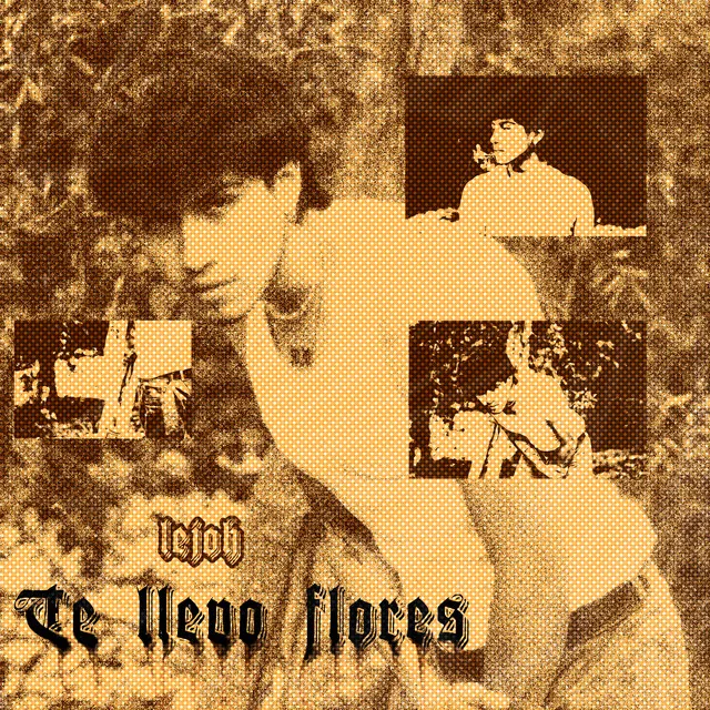 Te Llevo Flores