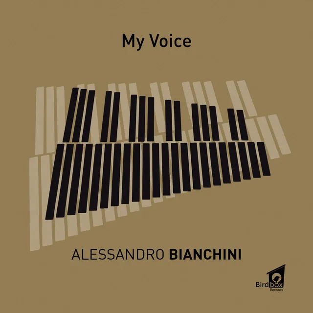 My Voice