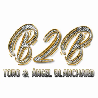 B2B by Toro