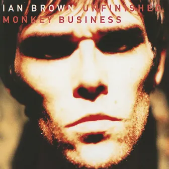 Unfinished Monkey Business by Ian Brown