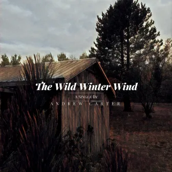 The Wild Winter Wind by Andrew Carter