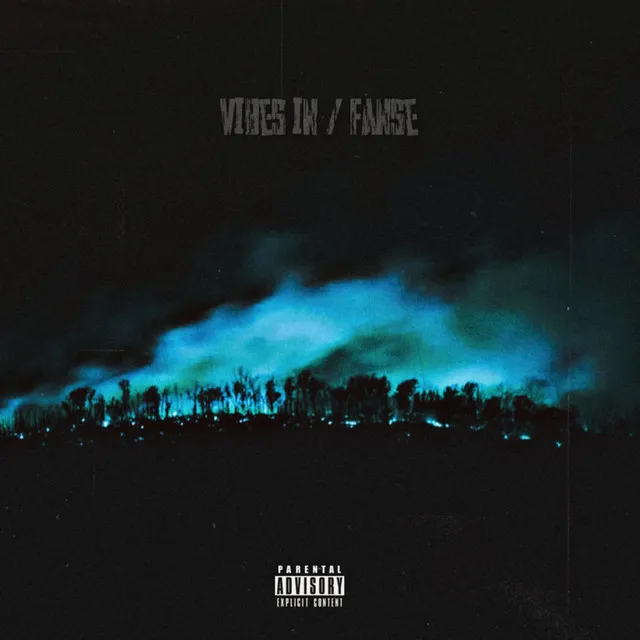 Vibes In / FANSE