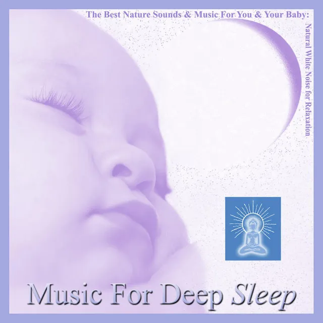 The Gentle Sound of Rain - Sleep Like a Baby