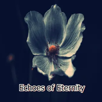 Echoes of Eternity by A Lonely Pianist