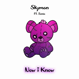 Now I Know by Skyman