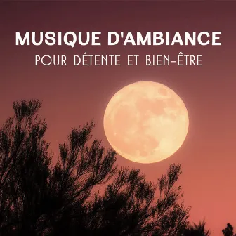 Musique d'ambiance pour détente et bien-être: Calme chansons pour dormir, Santé mentale, Stabilisation, Méditation et harmonie by Zone de Relaxation