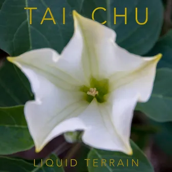 Tai Chu by Liquid Terrain